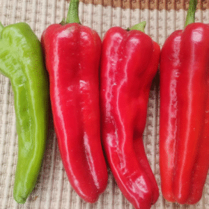 Pepper Marconi