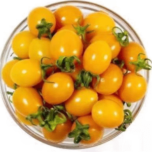 Cherry Tomato Holy Yellow