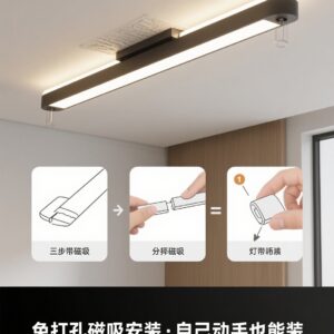 ceiling light
