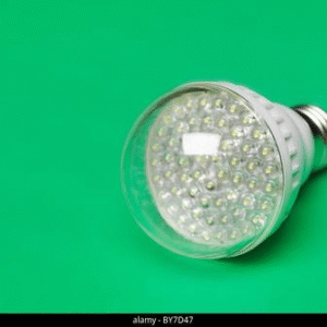 light emitting diode