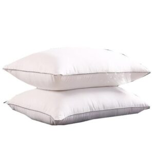 pillow (without the pillowcase)