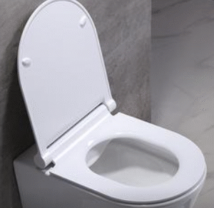 toilet seat