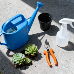  garden tool set