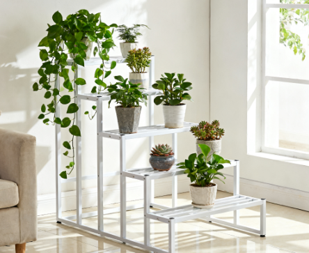 special shelf for holding potted flowers
